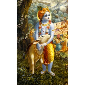 Krishna hugs the cow